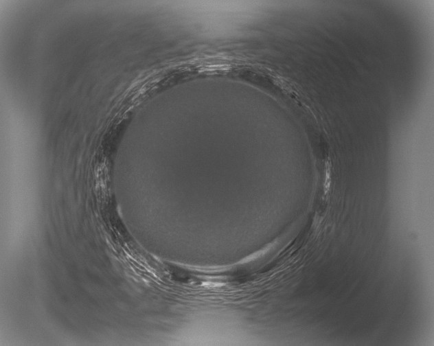 X0000086261445200703291421