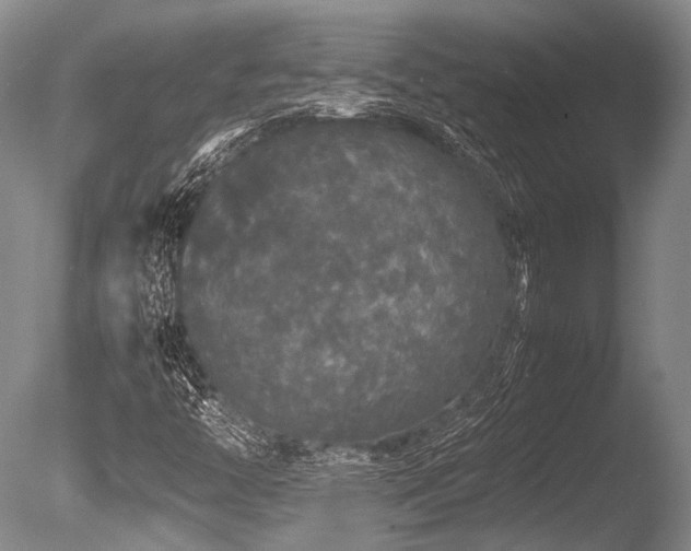 X0000086261446200703291421