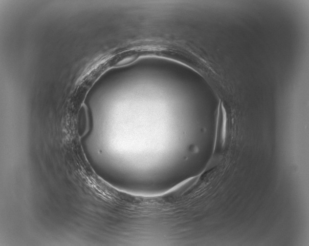 X0000086261448200703291420