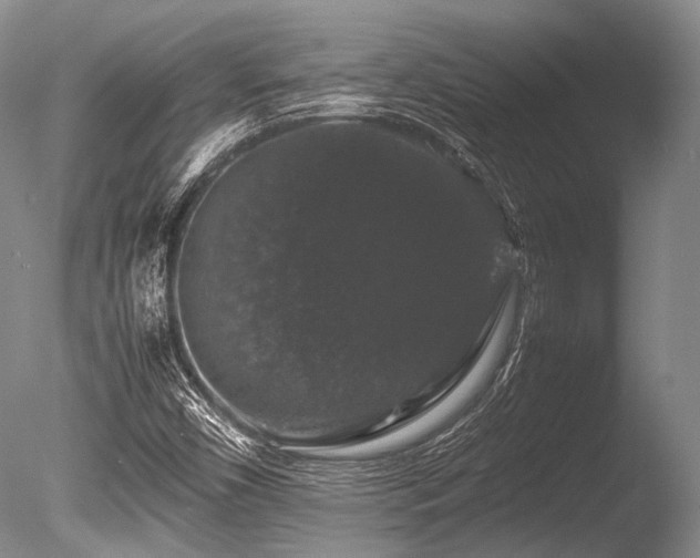 X0000086261450200703291420