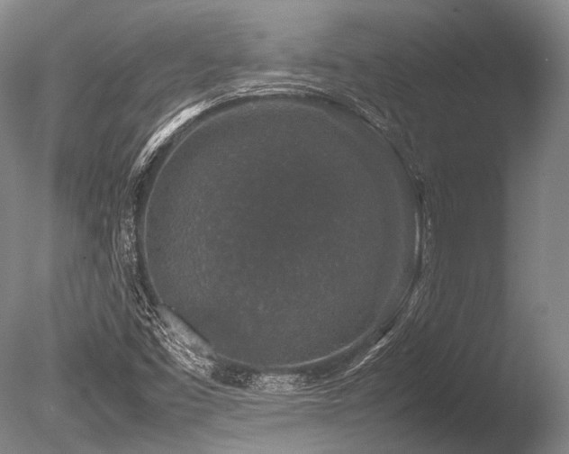 X0000086261453200703291420