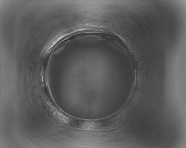 X0000086261455200703291420