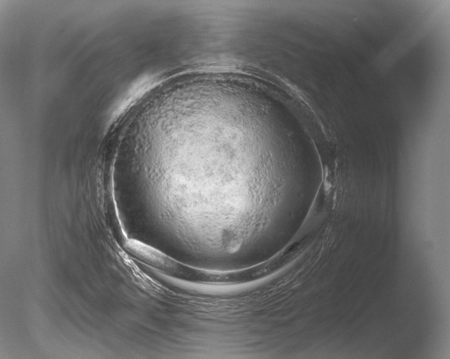 X0000086261456200703291420