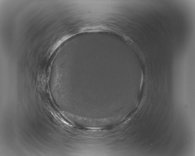 X0000086261457200703291420