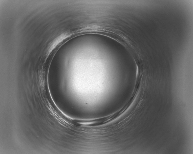 X0000086261458200703291420