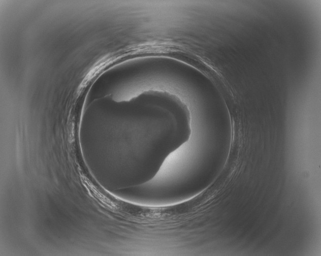 X0000086261459200703291420