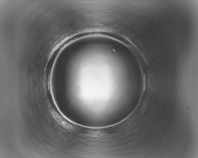 X0000086261460200703291420