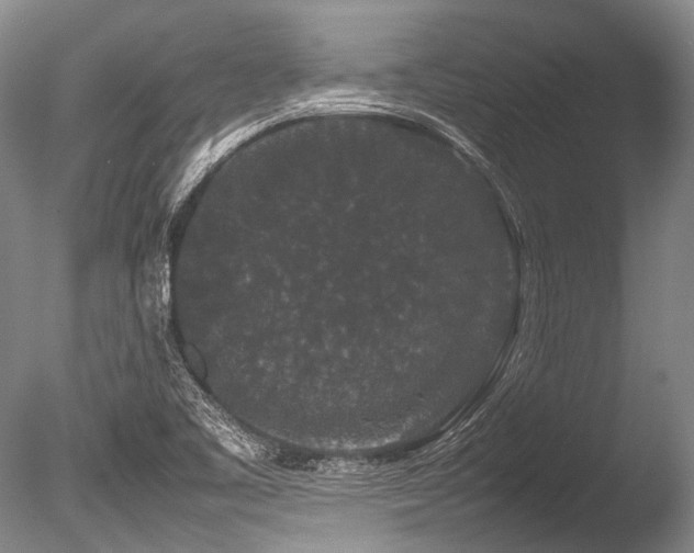 X0000086261461200703291420