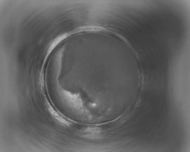 X0000086261466200703291420