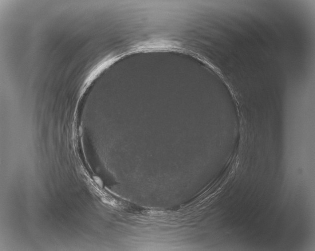 X0000086261469200703291420