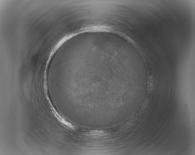 X0000086261470200703291420