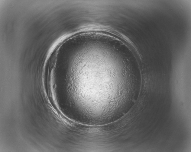 X0000086261472200703291420