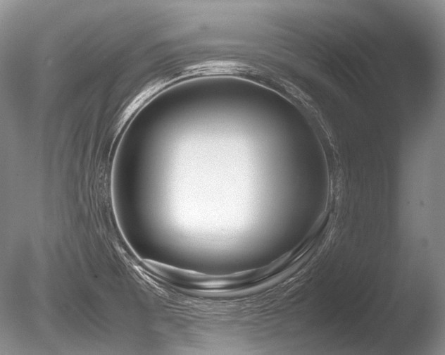 X0000086261473200703291420