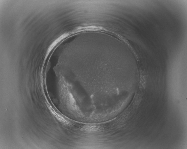 X0000086261474200703291420