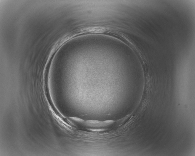 X0000086261475200703291420