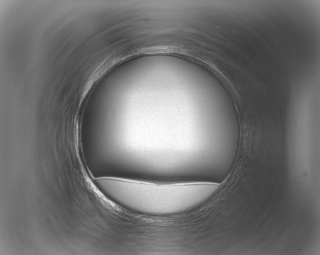 X0000086261476200703291420