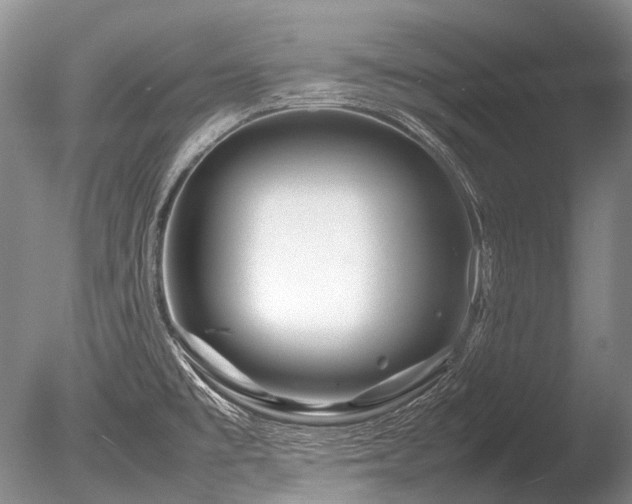 X0000086261477200703291420