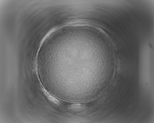X0000086261478200703291420