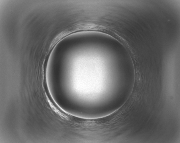X0000086261479200703291420
