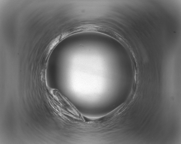 X0000086261481200703291420