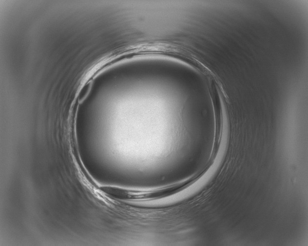 X0000086261483200703291420