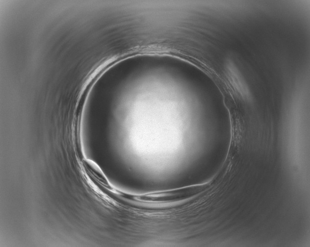X0000086261484200703291420