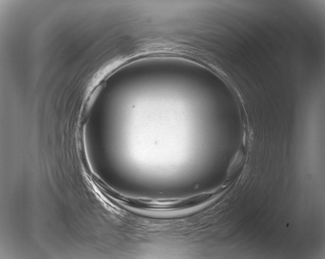 X0000086261485200703291420