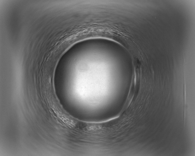 X0000086261489200703291419