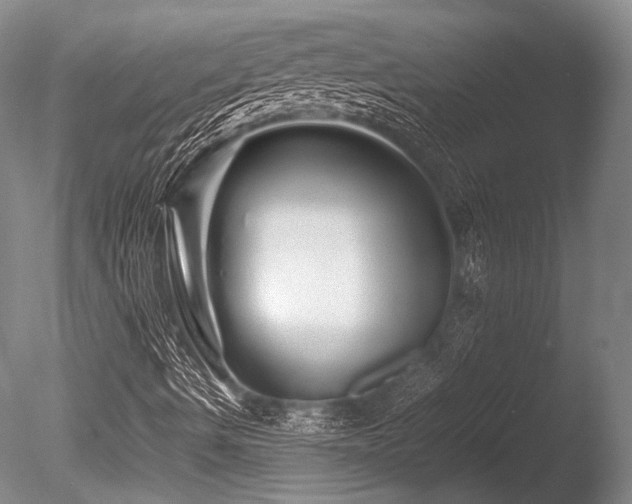 X0000086261490200703291419