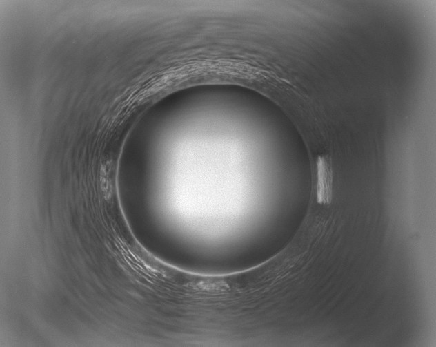 X0000086261491200703291419
