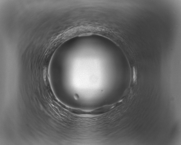X0000086261492200703291419