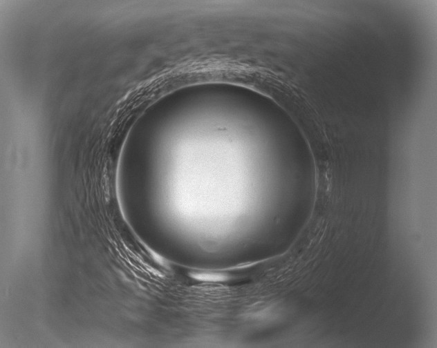 X0000086261493200703291419