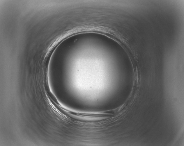 X0000086261500200703291419