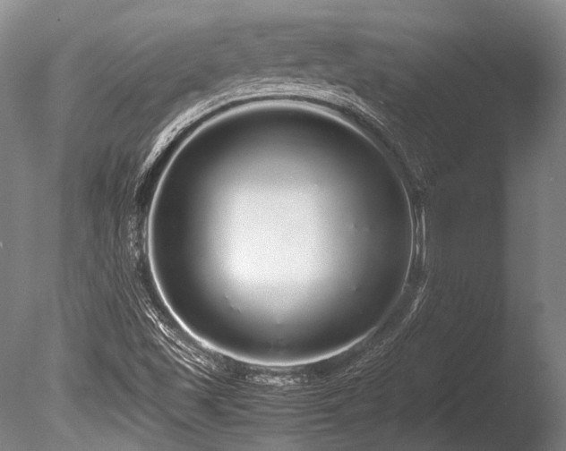 X0000086261501200703291419