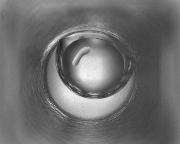 X0000086261502200703291419