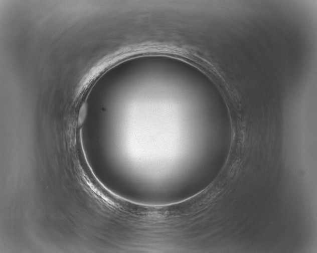 X0000086261504200703291419