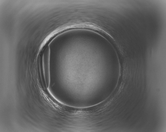 X0000086261506200703291419