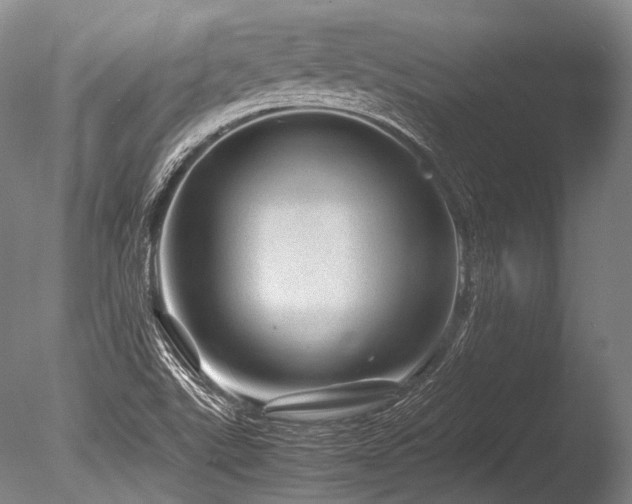 X0000086261507200703291419