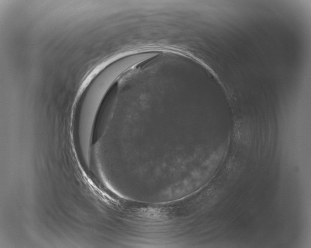 X0000086261508200703291419