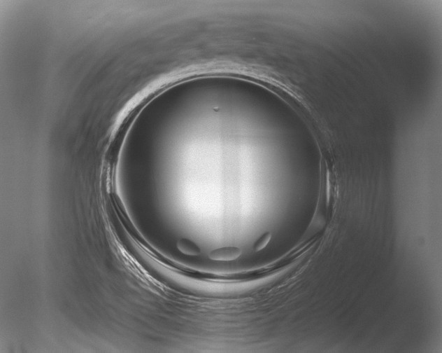 X0000086261510200703291419