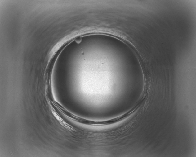 X0000086261511200703291419