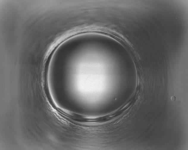 X0000086261512200703291419