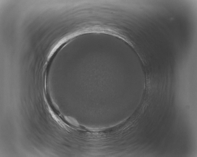 X0000086261515200703291419