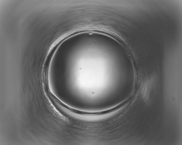 X0000086261517200703291419
