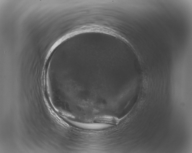 X0000086261522200703291420
