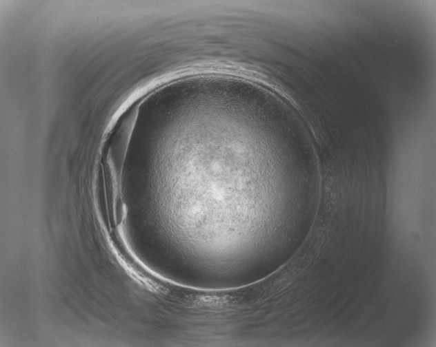 X0000086261523200703291420