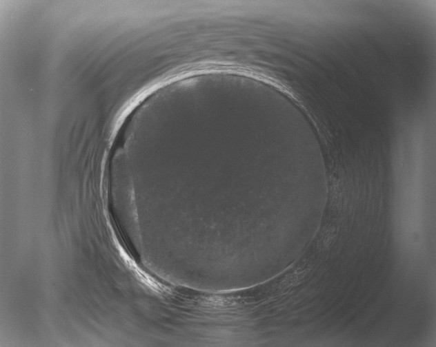 X0000086261527200703291420