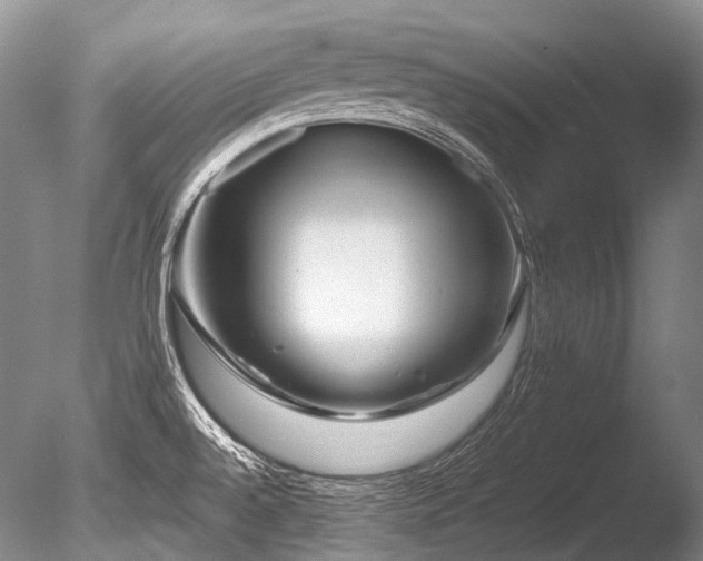X0000086261528200703291420