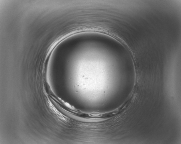 X0000086261532200703291420