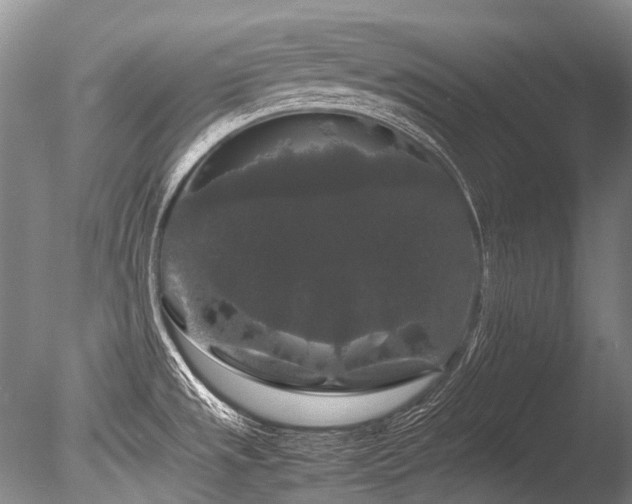 X0000086261533200703291420